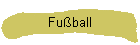 Fu�ball