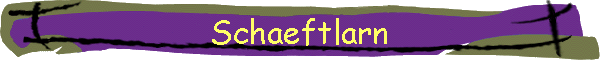 Schaeftlarn