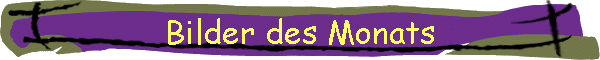 Bilder des Monats