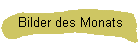 Bilder des Monats