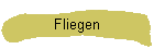 Fliegen